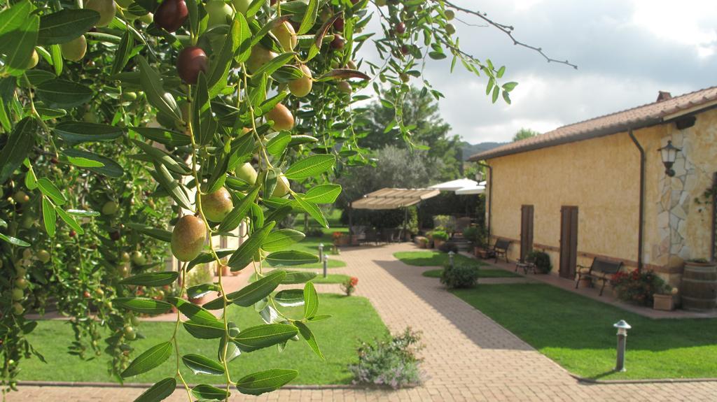 أوربيتيلو Podere Turicchio المظهر الخارجي الصورة
