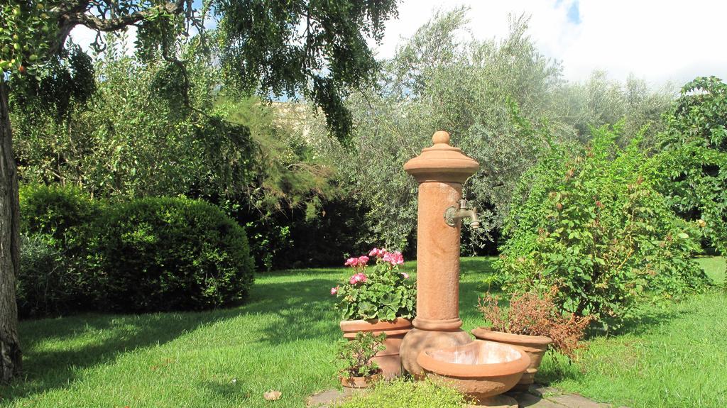 أوربيتيلو Podere Turicchio المظهر الخارجي الصورة